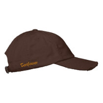 Tortfeasor Embroidered Baseball Cap