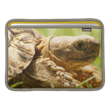 Tortoise 11" MacBook Sleeve