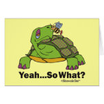 Tortoise and Bee cards