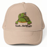 Tortoise and Bee hats