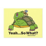 Tortoise and Bee postcards