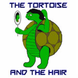 Tortoise and the Hair Photo Sculpture photo sculptures
