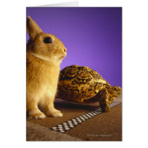 Tortoise and the hare greeting card
