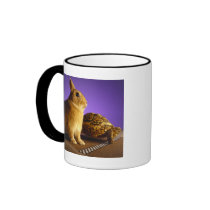 Tortoise and the hare mug
