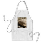 Tortoise aprons