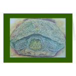 tortoise cards