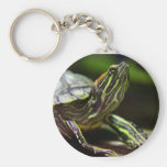 Tortoise Close Up Key Chain