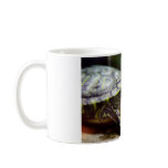 Tortoise Close Up mugs