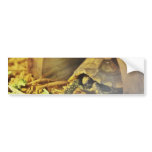 Tortoise hiding in shell 2 bumper stickers