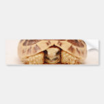 Tortoise hiding in shell bumper stickers