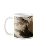 Tortoise mugs