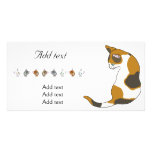tortoise-shell cat photo cards