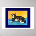 Tortoise Shell Kitten posters