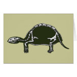 tortoise skeleton cards