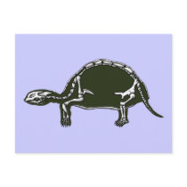 tortoise skeleton postcards