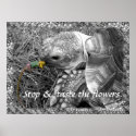 Tortoise - Stop & taste the flowers posters