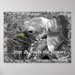 Tortoise - Stop & taste the flowers