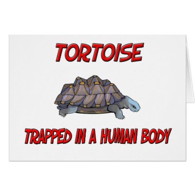 Tortoise trapped in a human body greeting cards by AnimalShirts