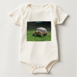 Tortoise Tee Shirt