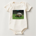 Tortoise t-shirts