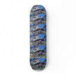 Tortoise turtle art skateboards