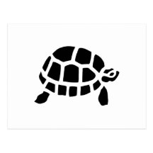 Tortoise Turtle Postcard