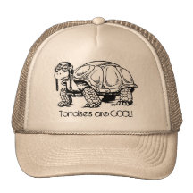 Tortoises are COOL! Hat