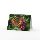 Tortoiseshell Butterfly cards