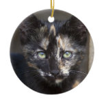 Tortoiseshell Kitten ornaments