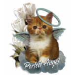 Tortoiseshell Persian Angel t-shirts