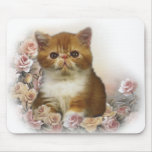 Tortoiseshell Persian portrait mousepads