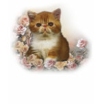 Tortoiseshell Persian portrait t-shirts
