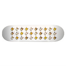 Tortoiseshells , tabby cats (三毛猫) skate boards