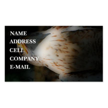 'Totem Hawk' Business Card