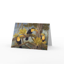 Toucan Card