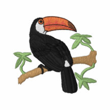 Toucan