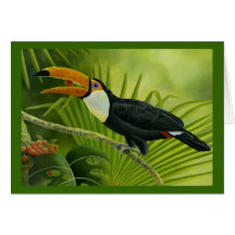 Toucan Greeting Card