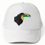 Toucan hats