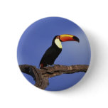 Toucan Long Shot buttons