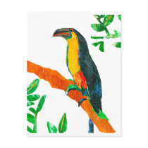 Toucan Saudade