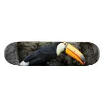 Toucan with Berry Skateboard