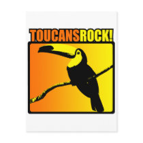 Toucans Rock! Post Card