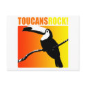 Toucans Rock! postcards