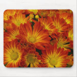 Touch of Fall mousepads