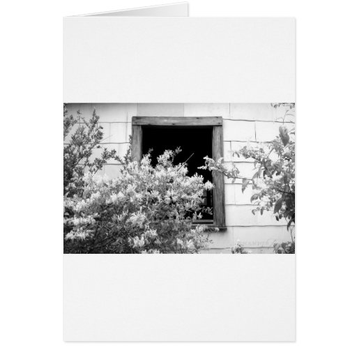 TOUCH OF GREY GREETING CARD