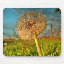 Touch of Magic Dust Mouse Pads