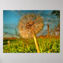 Touch of Magic Dust posters
