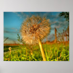 Touch of Magic Dust posters