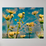 Touch of Magic Dust posters