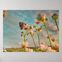 Touch of Magic Dust posters
